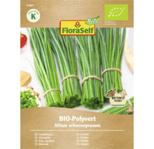 Verpackung Bio Schnittlauch Samen