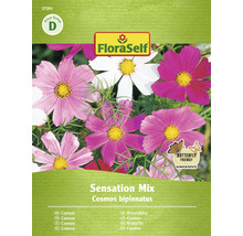 FloraSelf Cosmos bipinnatus Sensation Mix Saatgutpackung