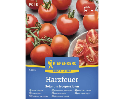 Kiepenkerl Harzfeuer Salattomaten Samenpackung