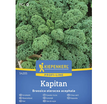 Kiepenkerl Kapitan Grünkohl Samenpackung