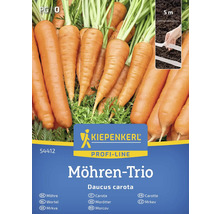 Karottensamen der Marke Kiepenkerl