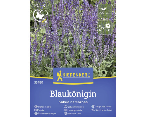 Semences stables graines de fleurs Blaukönigin Kiepenkerl Sachet de graines de sauge des bois