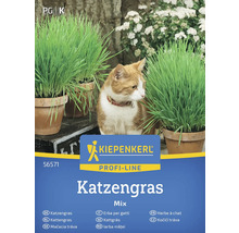 Kiepenkerl Katzengras Mix Packung mit Katze und Töpfen