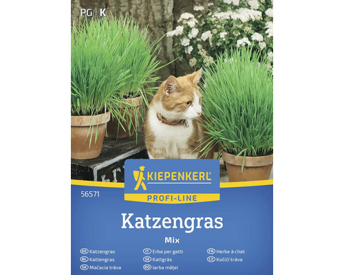 Kiepenkerl Katzengras Mix Packung mit Katze und Töpfen