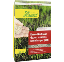 Hauert Semences de regarnissage pour gazon, emballage pour la rénovation de gazon