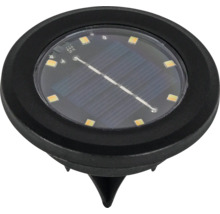 Solarleuchte mit Erdspieß zur Gartenbeleuchtung