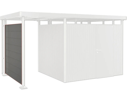Paroi latérale biohort pour toit latéral d'abri de jardin HighLine H3 gris quartz métallique Abri de voiture en métal avec paroi latérale et débarras
