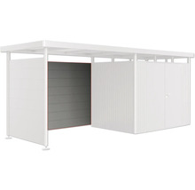 Abri de jardin moderne avec porte coulissante et double porte