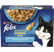 Felix Sensations Gelee Fischvielfalt Katzenfutter Karton
