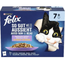 Felix Katzennahrung für Katzen ab 7 Jahren, gemischte Vielfalt in Gelee, 12er Pack