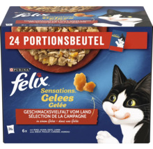 Felix Sensations Gelees Katzennahrung Multipack mit 24 Portionsbeuteln