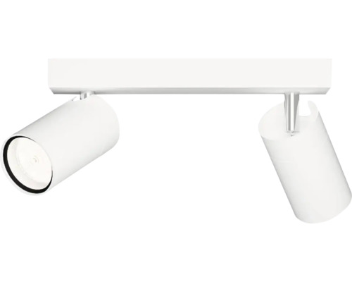 Deckenleuchte mit zwei Strahlern