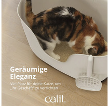 Katze in einer weißen Katzentoilette mit Schaufel