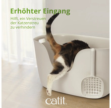 Katze steigt in eine Katzentoilette mit hohem Rand und Schaufel