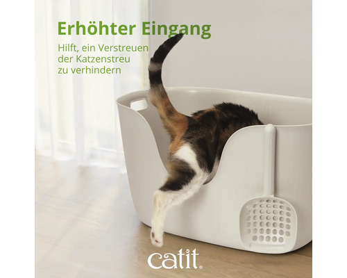 Katze steigt in eine Katzentoilette mit hohem Rand und Schaufel