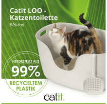 Katze in einer offenen Katzentoilette mit Streuschaufel
