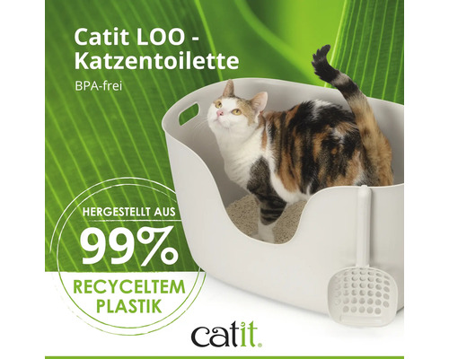 Katze in einer offenen Katzentoilette mit Streuschaufel