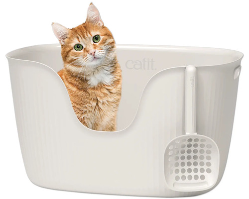 Katze in Katzentoilette mit Streuschaufel