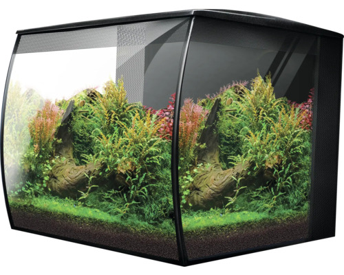 Aquarium aménagé avec plantes et décoration
