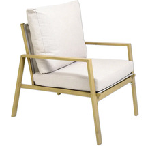 Fauteuil de jardin avec accoudoirs et coussins