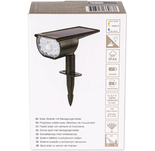 Solarstrahler mit Bewegungsmelder auf der Verpackung