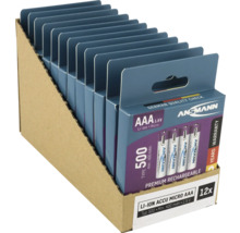 Zwölf Ansmann AAA Lithium-Ionen Akkus in einer Kartonverpackung