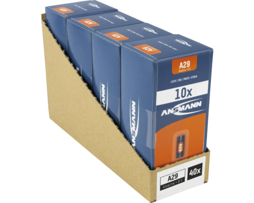 40er-Packung Ansmann A29 Alkaline 9 V Batterien im Pappaufsteller