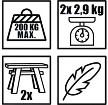 Symbole für maximale Belastung 200 Kilogramm, Gewicht 2 mal 2,9 Kilogramm, zwei Stück und geringes Gewicht