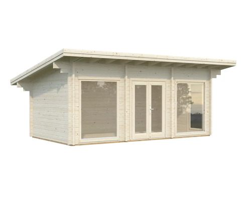 Abri de jardin en bois avec toit plat et fenêtres