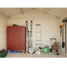 Cabane en bois claire avec outils de jardinage, équipement de ski, échelle et armoire métallique