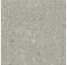 Carreau de sol gris avec motif de pierre