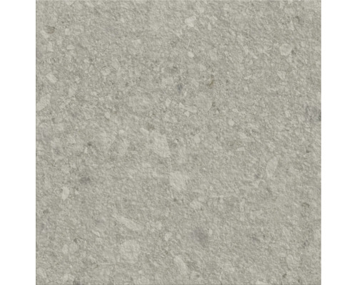 Carreau de sol gris avec motif de pierre