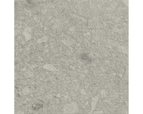 Graue Bodenfliese mit gesprenkelter Oberfläche