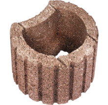 Anneau de plantation unique en béton