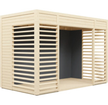 Abri de jardin en bois avec murs à lamelles