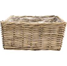 Panier à plantes rectangulaire en rotin avec film