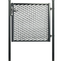 Metallzauntür mit Griff und Schloss