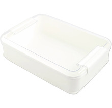 Boîte de rangement en plastique avec couvercle transparent