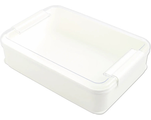 Boîte de rangement en plastique avec couvercle transparent