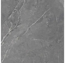 Graue Fliese mit Marmoroptik und Aderung