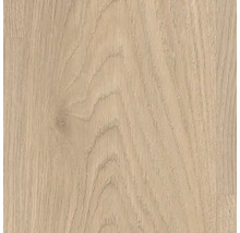 Gros plan d'une surface en bois clair avec grain