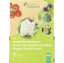 Andermatt Biogarten Delphin contre les chenilles nuisibles