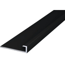 Schienenprofil aus Metall