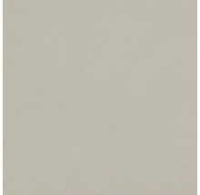 Nahaufnahme einer Putzoberfläche