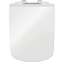 Toilettendeckel aus Sanitärkeramik