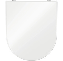 Toilettendeckel aus Sanitärkeramik