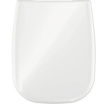 Toilettendeckel aus Kunststoff