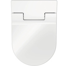 Toilettendeckel aus Sanitärkeramik, Aufsicht
