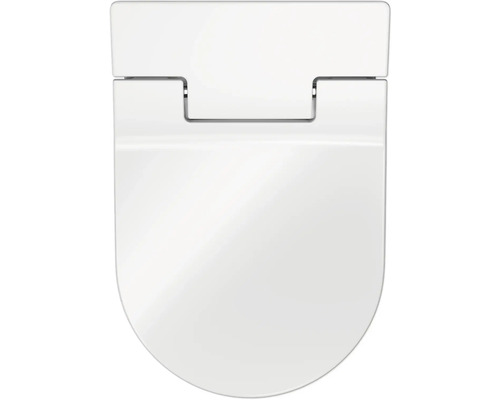 Toilettendeckel aus Sanitärkeramik, Aufsicht