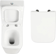 Auf der Abbildung sind ein Tiefspülklosett und ein Toilettendeckel zu sehen.